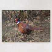 Puzzle Pheasant Se Déplaçant Dans La Forêt (Horizontal)