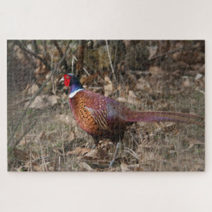 Puzzle Pheasant Se Déplaçant Dans La Forêt