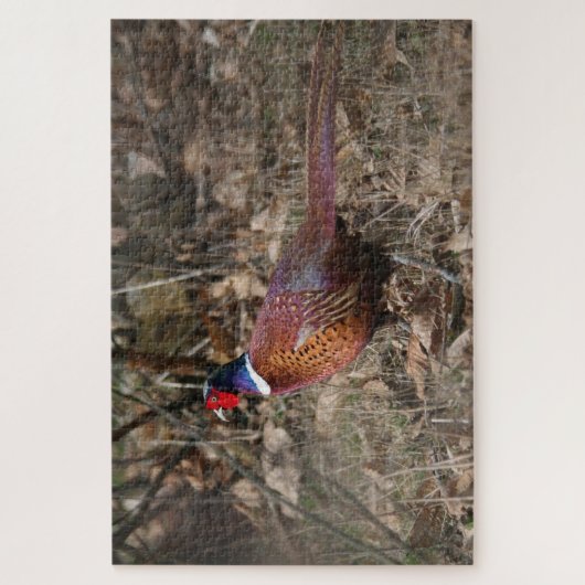 Puzzle Pheasant Se Déplaçant Dans La Forêt (Vertical)