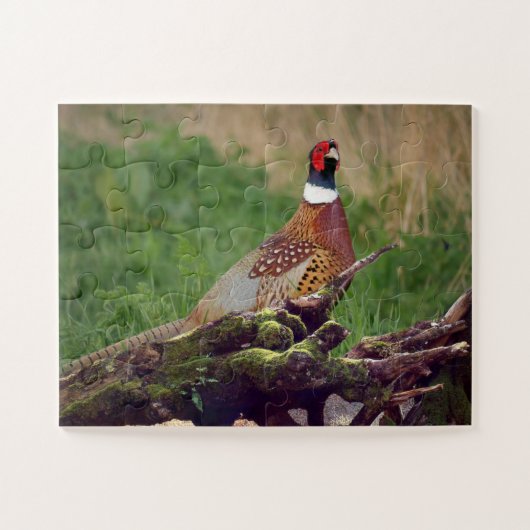 Puzzle Pheasin par Fallen Tree Faune surdimensionnée (Horizontal)