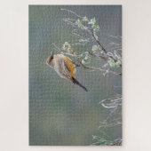 Puzzle Phoebe in the Sage de Say (Vertical)