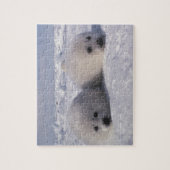 Puzzle Phoque du Groenland (Phoca groenlandica) Gropes de (Vertical)