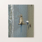 Puzzle Phoque du port à La Jolla en Californie (Vertical)