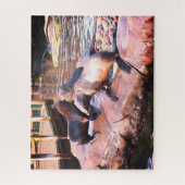 Puzzle Phoques (Vertical)