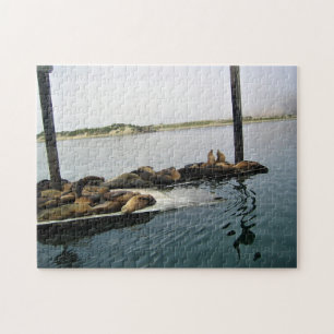 Puzzle Phoques du port, Morro Bay, Californie