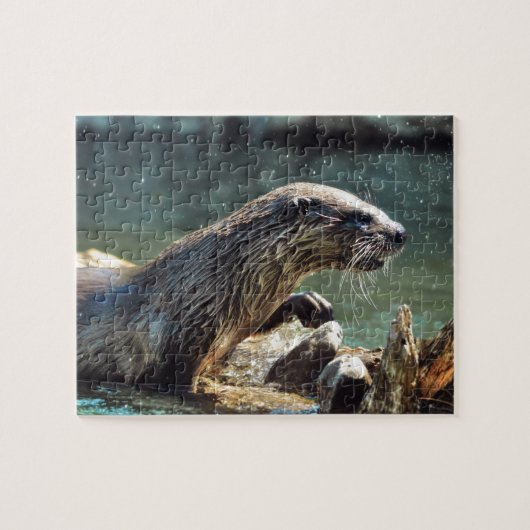 Puzzle Photo animalière de River Otter Animal-lover (Horizontal)