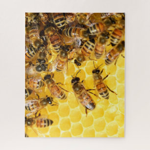 Puzzle photo Bee Hive Honey Bees