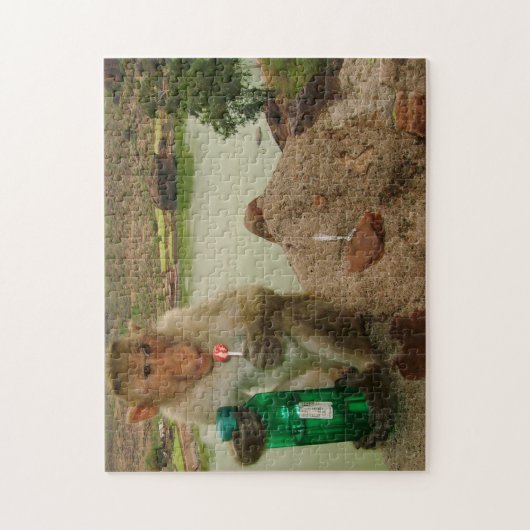 Puzzle Photo Call-Monkey Badami Inde (Vertical)