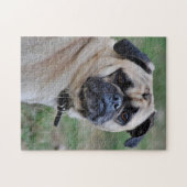 Puzzle photo Carlin adorable (Horizontal)