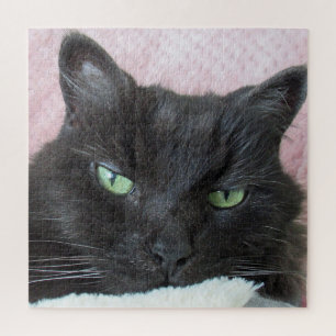 Puzzle Photo Cat