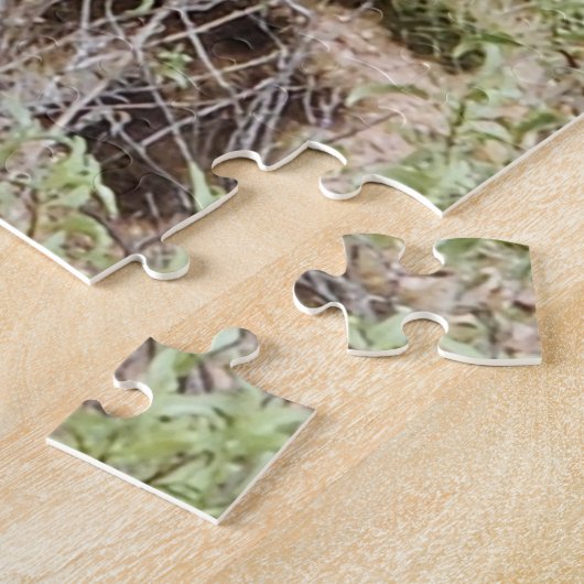 Puzzle Photo Cholla Cactus (Côté)