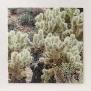 Puzzle Photo Cholla Cactus