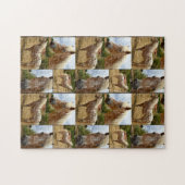 Puzzle Photo Collage d'Appaloosa Horses (Horizontal)