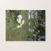 Puzzle photo créative d'arbre blanc (Horizontal)
