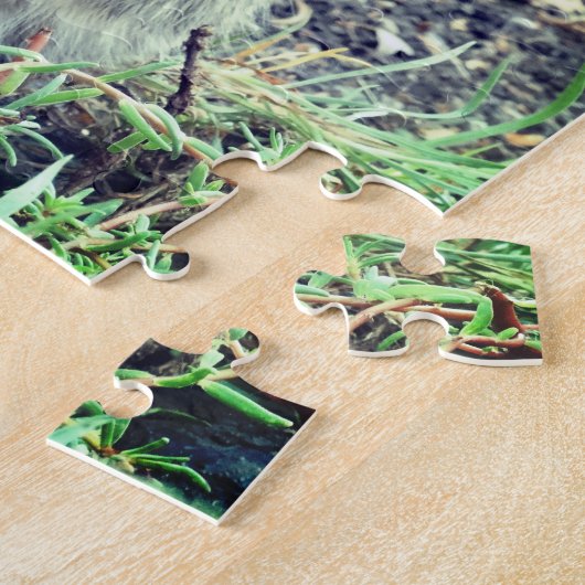 Puzzle Photo Cute Kitten (Côté)