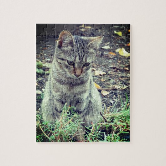 Puzzle Photo Cute Kitten (Vertical)
