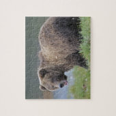 Puzzle Photo d'Alaska de faune d'ours Brown (arctos (Vertical)