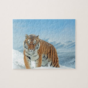 Puzzle Photo d'animal Montagnes de Tigre de Neige Hiver t