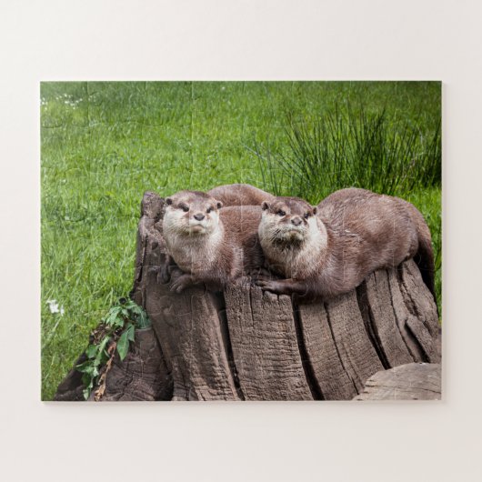 Puzzle Photo d'animaux de la mignonne Eurasian Otter (Horizontal)