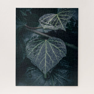 Puzzle Photo Dark Ivy Nature