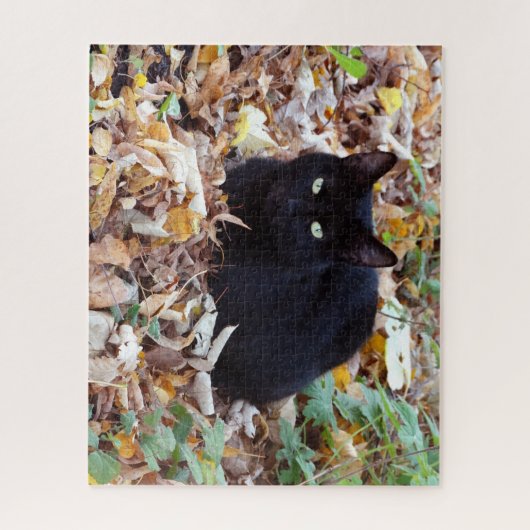 Puzzle Photo d'Aurtumn de chat noir (Vertical)