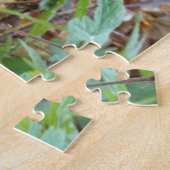 Puzzle Photo d'Aurtumn de chat noir (Côté)