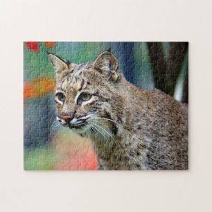 Puzzle Photo de Bobcat Wildlife