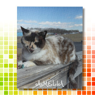 Puzzle Photo de chat familial, Soirée familiale, Personna