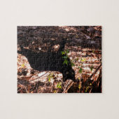 Puzzle Photo de chat noir (Horizontal)