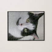 Puzzle Photo de chat noir blanc mignon (Horizontal)