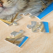 Puzzle Photo de chaton dormant (Côté)