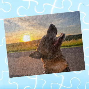 Puzzle Photo de chien de compagnie amusant et cool, soiré