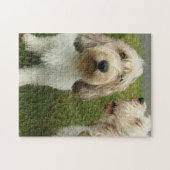 Puzzle Photo de Chiens mignons (Horizontal)