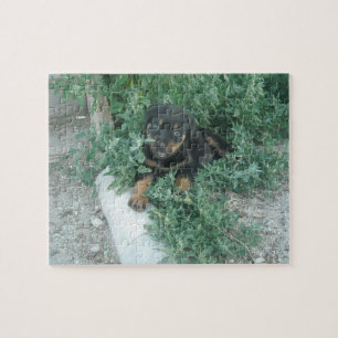 Puzzle Photo de chiot Rottweiler