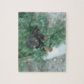 Puzzle Photo de chiot Rottweiler (Vertical)