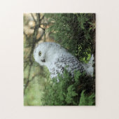 Puzzle Photo de Chouette blanche de la faune (Vertical)