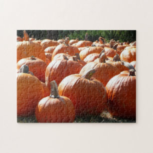 Puzzle Photo de citrouilles pour l'automne, Halloween ou