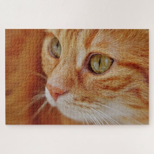 Puzzle Photo de closeup de chat (Horizontal)