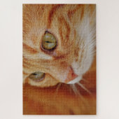 Puzzle Photo de closeup de chat (Vertical)