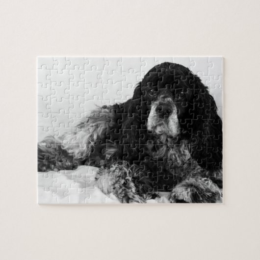 Puzzle Photo de Cocker Spaniel noir et blanc (Horizontal)