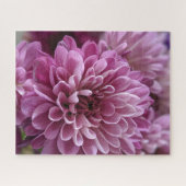 Puzzle Photo de fleur de chrysanthème rose (Horizontal)