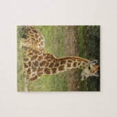 Puzzle Photo de girafe (Horizontal)