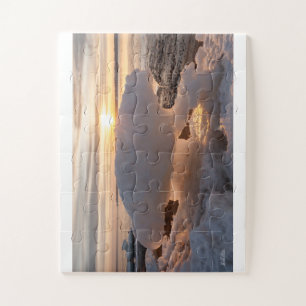 Puzzle photo de glace en forme d'ours