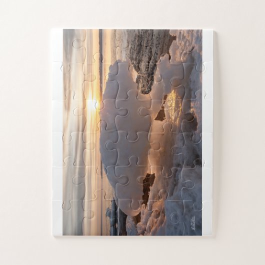 Puzzle photo de glace en forme d'ours (Vertical)