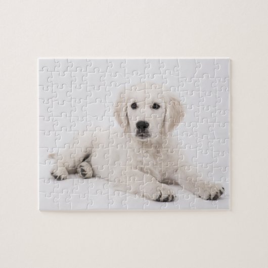 Puzzle Photo de Golden Retriever (Horizontal)