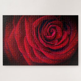 Puzzle Photo de gros plan de rose rouge