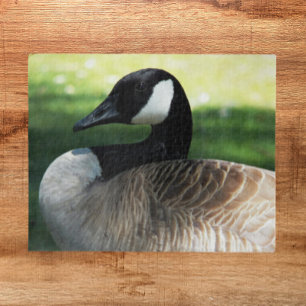 Puzzle Photo de la faune de Canada Goose