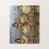 Puzzle Photo de la faune de Mallard Ducks (Vertical)