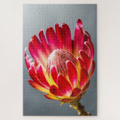 Puzzle Photo de la fleur de Protea (Vertical)
