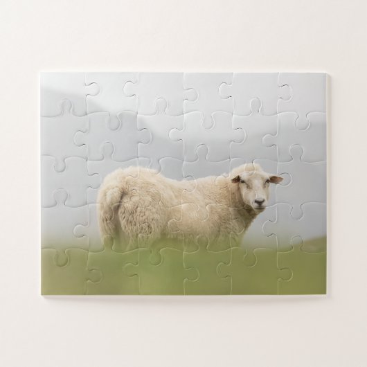 Puzzle Photo de la nature des moutons (Horizontal)